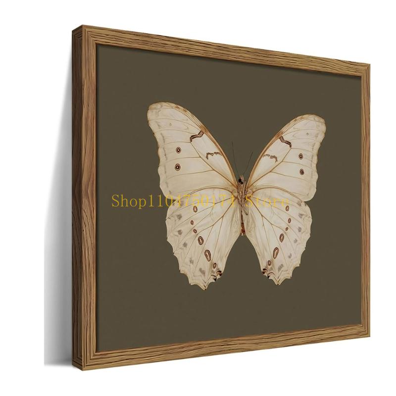 Artistic Butterfly Framed Wall - Home Improvement Sales 评论和价格