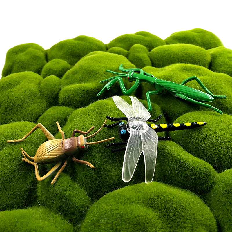 12pcs Insect Animal Model Drag - Home Improvement News 评论和价格