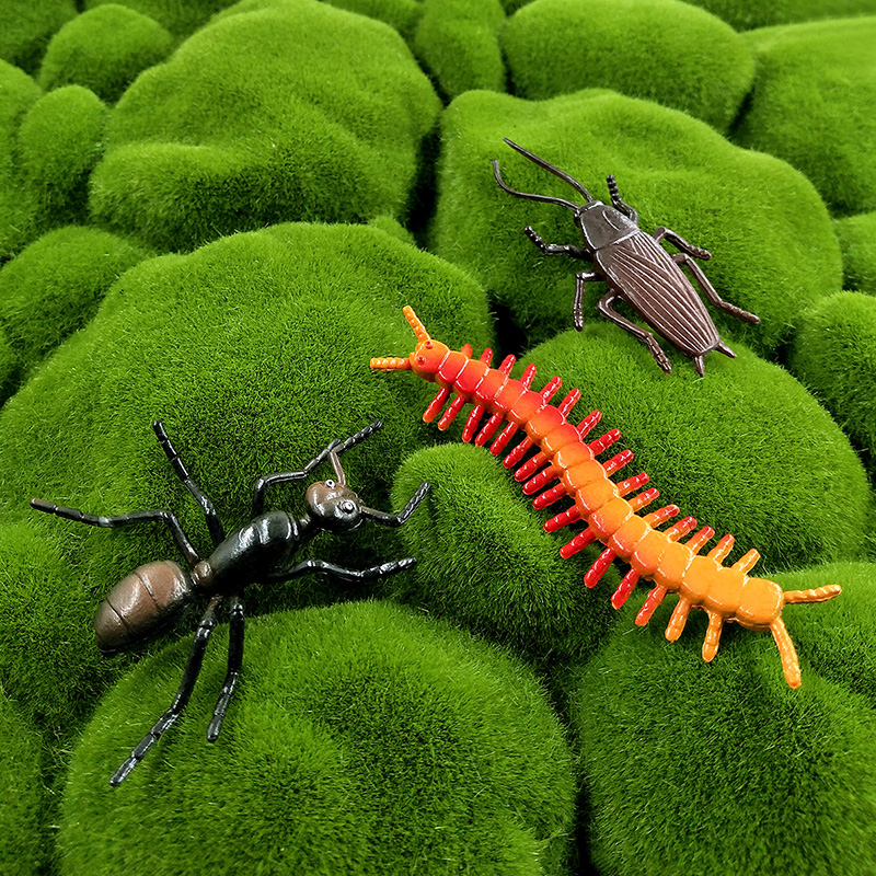 12pcs Insect Animal Model Drag - Home Improvement News 评论和价格