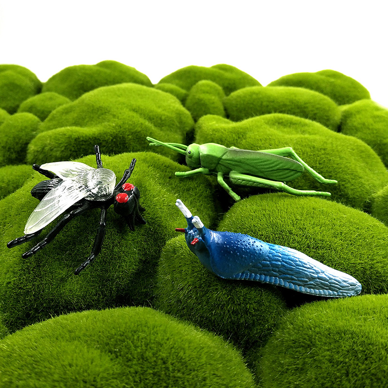 12pcs Insect Animal Model Drag - Home Improvement News 评论和价格